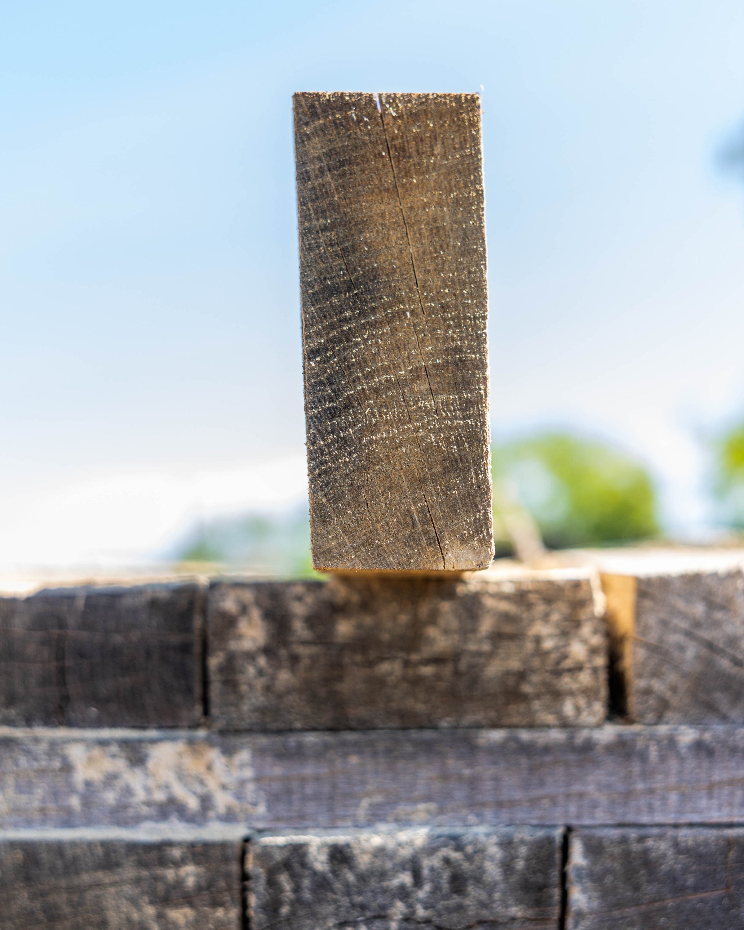 Doagă de stejar sprijinită vertical pe o stivă de doage la uscare naturală, sub cerul liber